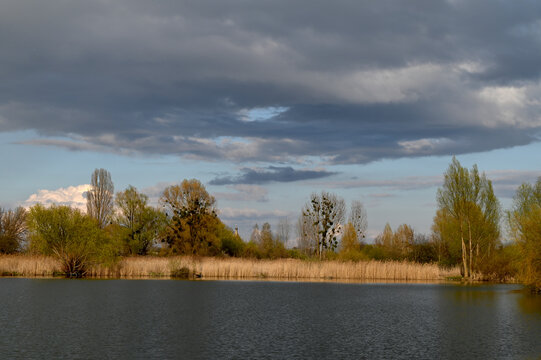 Spring pond with tree reflections and dramatic cloudy sky in rural countryside