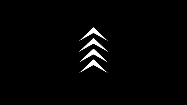 White color arrow on black background. Arrow direction set. Modern simple arrows with on 4k video animation.