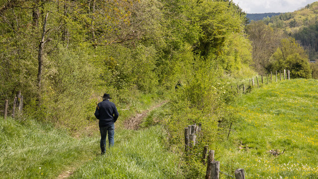 homme &acirc;g&eacute; sur un chemin avec un chapeau dans la for&ecirc;t &agrave; la campagne, activit&eacute;, marche, loisirs, senior, retraite