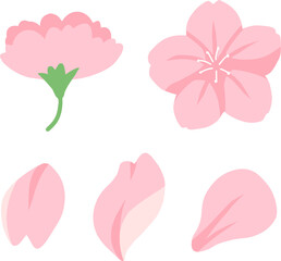 Obraz premium Soft pink cherry blossom collection with no background for spring festival design