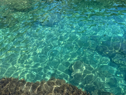 Clear turquoise sea with underwater seaweed.