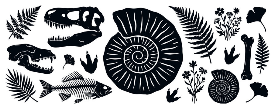 Fossil icons with ammonite skull fern silhouette