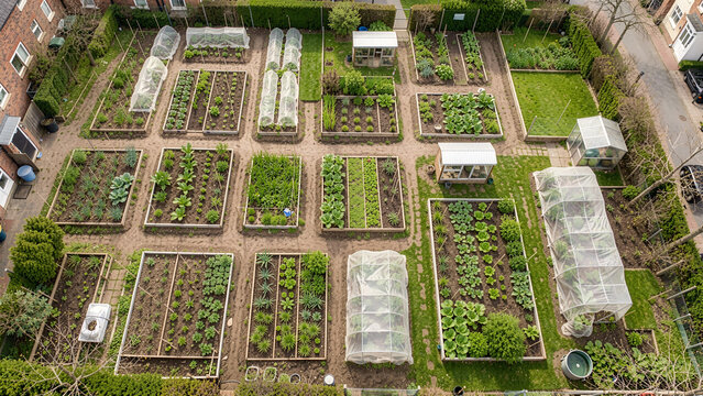 Aerial view of organized community garden with green crops and beds