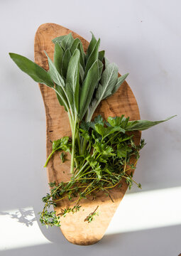 Aromatic herbs over gray background, border design. Thyme, sage salvia fresh green leaves for cooking. Aromatherapy oils ingredients.