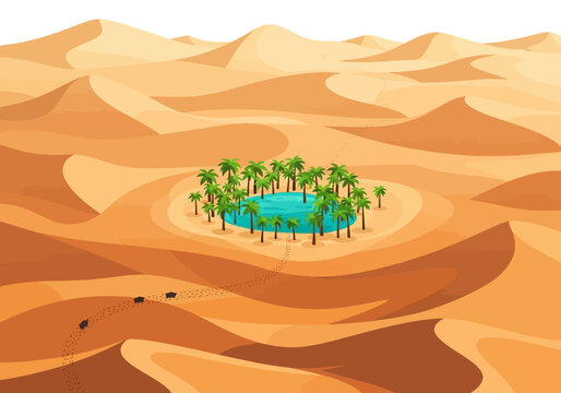vector illustration of a desert oasis with palm trees and a small body of water surrounded by sand dunes