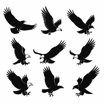 Bald Eagle Silhouette Vector Set: Majestic Flying Eagles in Various Flight Poses