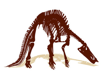 Skeleton of large carnivorous dinosaur. © designer_an