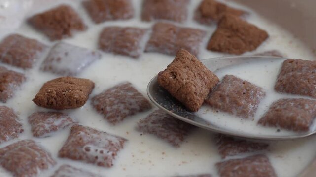 A metal spoon in a bowl of milk and chocolate breakfast cereal pads. Macro shot of eating crunchy cereal flakes with milk