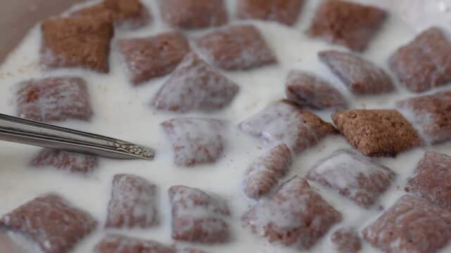 A metal spoon scoops up chocolate cereal pads in a bowl of milk. Close-up of an appetizing process of eating crunchy dry breakfast