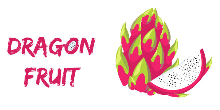 Dragon fruit, pitaya simple color vector illustration. lettering Dragon fruit, pitahaya. bright minimal design on white background isolated
