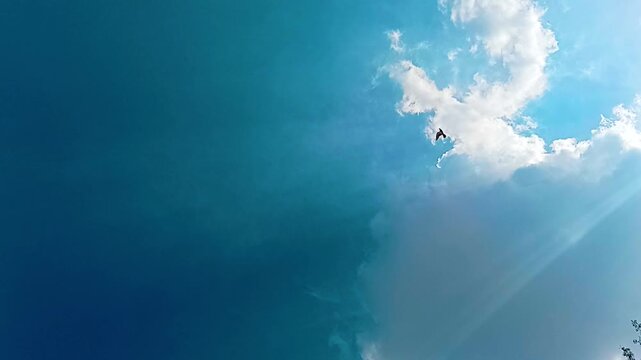 Birds Flying Against a Bright Blue Sky with White Clouds
