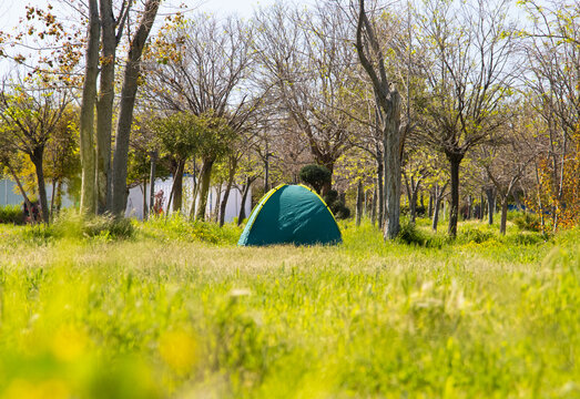 Green camping tent set up on a lush grassy field in a sunny forest with tall trees and vibrant spring nature background. Camping in nature theme.