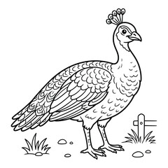 Fototapeta premium Simple Peacock Line Art Illustration for Kids Coloring Book Page