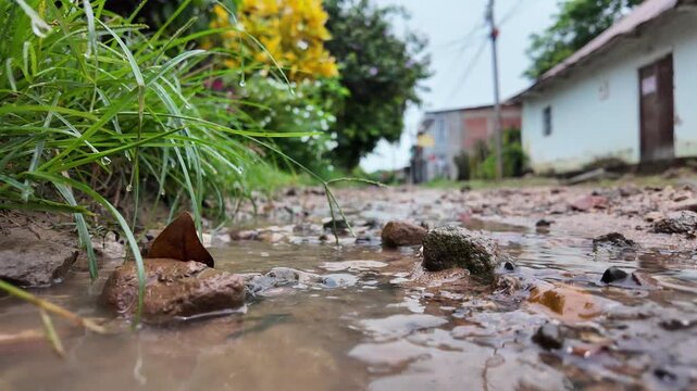 Carretera destapada mojada por la lluvia