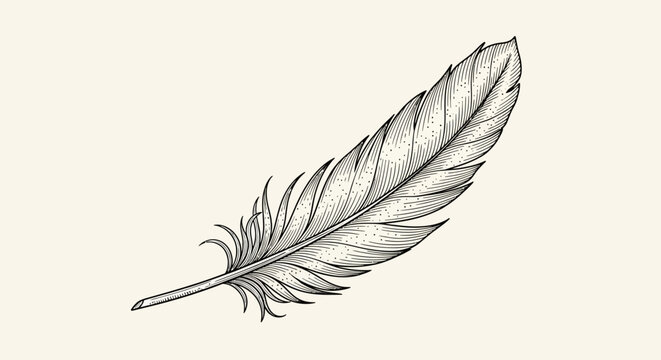 Detailed drawing of a single feather.