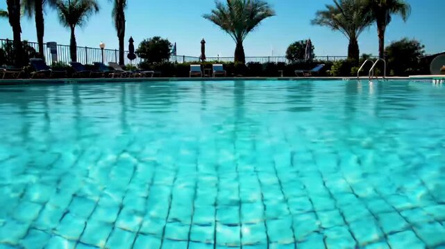 Sparkling blue swimming pool with tiled bottom and palm trees