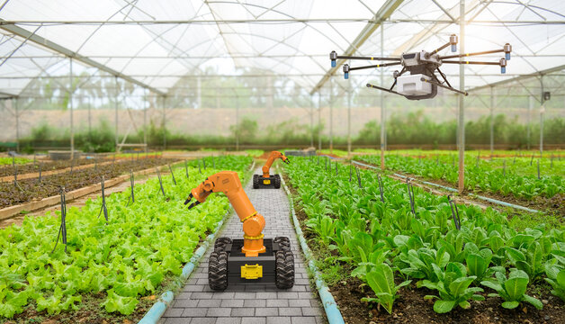 Automated farming technology with robotic arms and drone in a modern greenhouse with rows of green plants and vegetables growing in soil  precision agriculture and sustainable farming practices