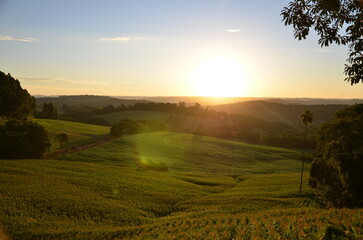 Fototapeta premium Golden sunset over rolling hills in Serra Gaúcha, Rio Grande do Sul, Brazil