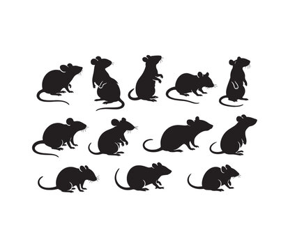 Black rat silhouette collection, 12 mouse vector icons in various poses, standing and crawling rodent silhouettes, pest control graphic elements