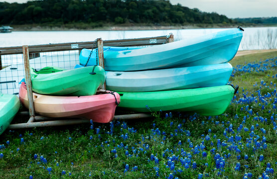 Colorful kayaks on lakeshore with Texas bluebonnets in spring landscape