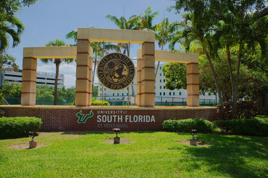 University of South Florida St. Petersburg Campus Sign With Seal and Palm Trees on Sunny Day. Editorial Use Only St. Petersburg, FL, USA April 15, 2026. Green lawn,campus identity, education and commu