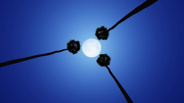 Dark palm trees frame a glowing moon