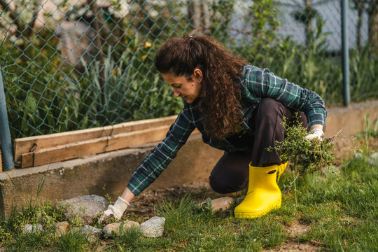 Woman carefully weeding green plants in a home garden