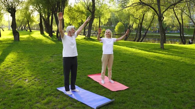 couple of elderly seniors do exercises on mats in the park, gray-haired pensioners stretch their arms and warm up their joints outdoors and actively relax in the summer