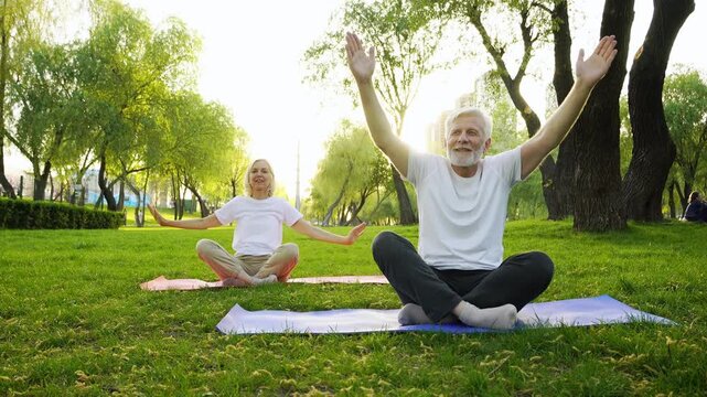 couple of elderly seniors practice yoga on mats in the park, gray-haired pensioners exercise outdoors and actively relax in the summer