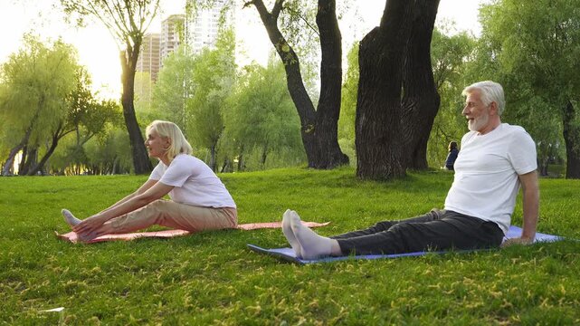 couple of elderly seniors stretch and warm up on yoga mats in the park, gray-haired old pensioners exercise and do Pilates outdoors