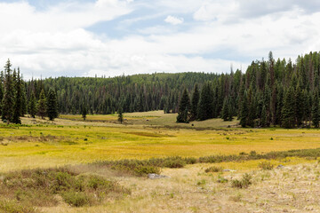 Grassy Valley on Mount Baldy in Arizona © Charlotte Eshelman