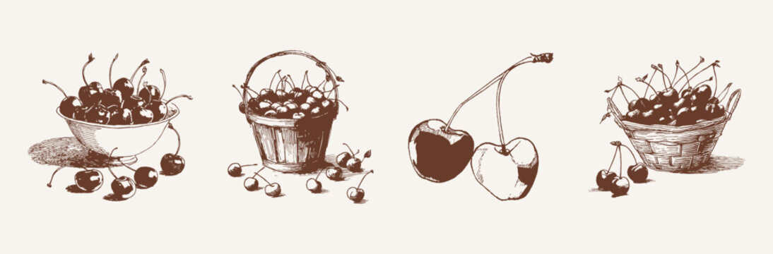 Cherry bowls basket pair fruit vintage collection. Includes cherries in bowls, bucket and single pair composition. Illustrations for packaging and menus, hand drawn sketch style.