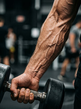 Bodybuilder's veiny arm performing a bicep curl with a weight