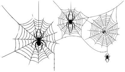 Obraz premium Black silhouette of spider webs with spiders and dew drops
