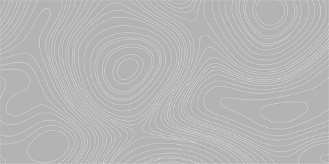 Gray topographic map background with abstract contour lines  seamless wavy minimal pattern for organic terrain texture. professional gray background featuring light gray topographic contour lines. © Creative Lis