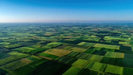 Fototapeta premium Aerial View of Lush Green Agricultural Fields