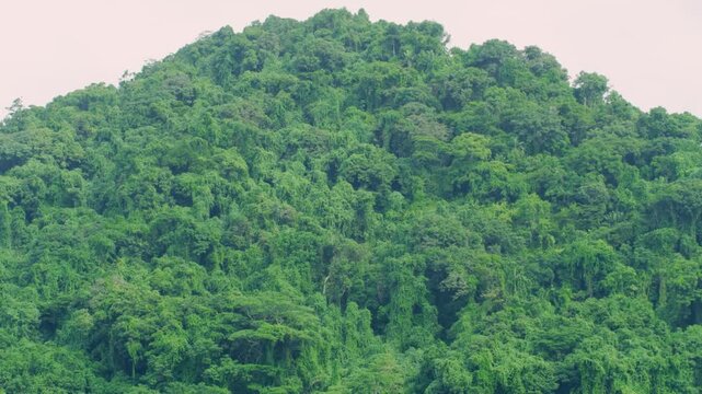 Aerial, Nosy Ankarea Madagascar over the forest, massive granite hill and beach, near Nosy Be. Tourism and travel. High-quality 4k footage