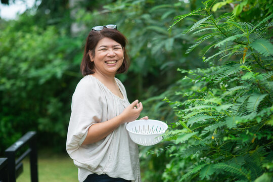 Joy by the Garden Fence