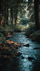 Fototapeta premium Serene Forest Stream Flowing Through Tall Trees