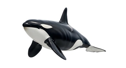 Fototapeta premium Realistic Orca Killer Whale Full Body Isolated on White Background for Wildlife Photography, Marine Mammal, Ocean Predator, Aquatic Animal, Nature Observation, Detailed Animal Illustration