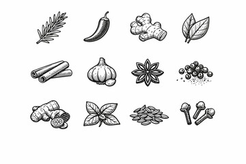 Fototapeta premium Hand-drawn spices and herbs collection: ginger, chili, garlic, cinnamon, cloves, basil, anise