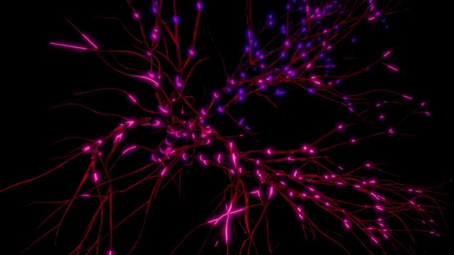 Glowing purple star fractal with radiant neon light patterns on a deep black background, featuring bright energy lines and dynamic shapes ideal for abstract, space, or festiv