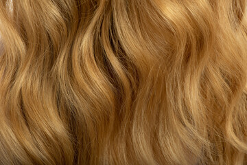 Fototapeta premium Blonde long wavy hair background. Curly honey colour hair. Haircare beauty products, shampoo and lotion. Hair Care Spa and wellness. Selective focus.