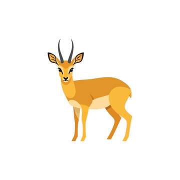 Simple vector illustration of an African steenbok antelope. Graceful wildlife icon, flat design, isolated on white, ideal for nature-themed projects and digital artwork