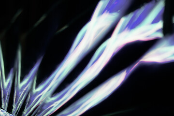 Fototapeta premium Soft focus abstract image of flowing white and purple light shapes on black