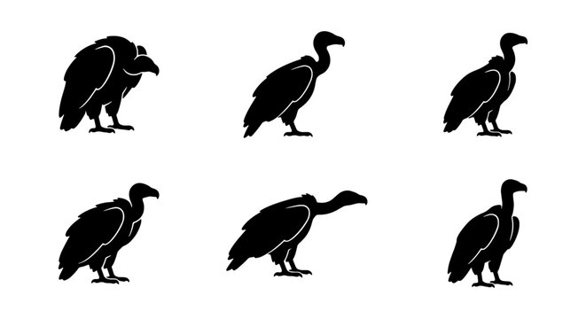 Vulture silhouettes illustration: vector graphic of black vultures in various poses and angles