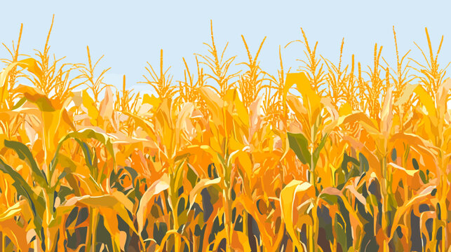 A vibrant, stylized illustration of a sun-drenched cornfield with golden hues under a light blue sky