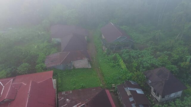 Ethereal aerial perspective of a secluded hamlet nestled in verdant wilderness on a misty morning