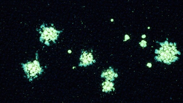 Bodily fluid stains glowing under a UV blacklight.