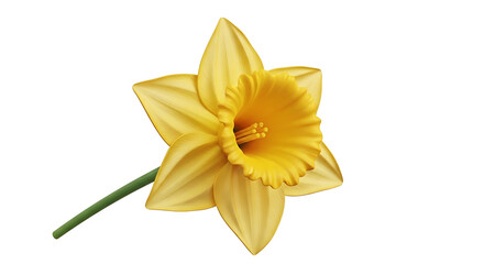 Obraz premium Isolated yellow daffodil flower with green stem, delicate petals and trumpet-shaped corona, symbolizing spring and new beginnings, perfect for nature and floral designs